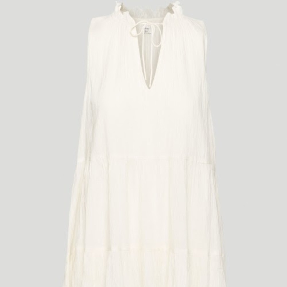 Aritzia Dress